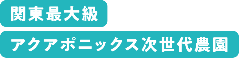 関東最大級アクアポニックス次世代農園
