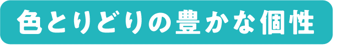 色とりどりの豊かな個性